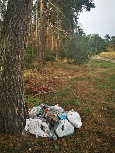 Śmieci porzucone w lesie Urzędnicy i leśnicy poszukują właściciela