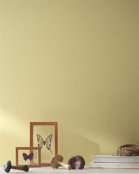 Benjamin Moore Pale Straw