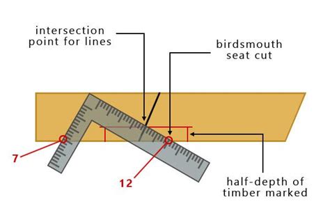 How to cut a birdsmouth joint fixing roof rafters and joists – Artofit