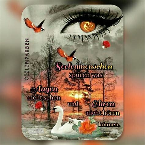 An Image Of A Woman S Eyes With Birds Flying Around