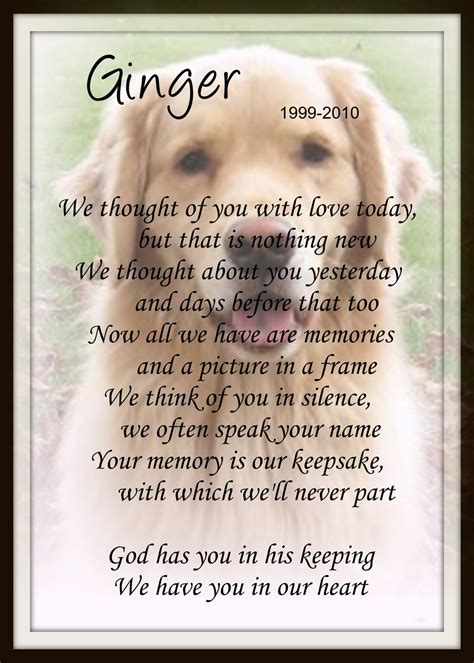 Pet Memorial Quotes. QuotesGram