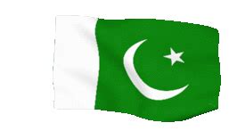 Pakistani Flag Pakistan Flag Sticker - Pakistani Flag Pakistan Flag ...