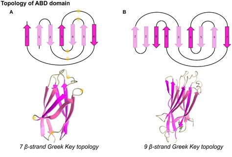 Frontiers Structural And Functional Insights From The Sequences And