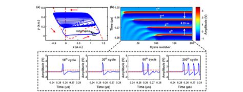 Dynamic Evolution Process In The Broadband Oeo Under Spiking Cluster