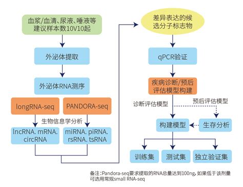 新领域！新技术！新方案！表观生物助你制胜2023nsfc！ 广州表观生物科技有限公司