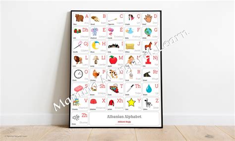 ALBANIAN Alphabet POSTER Print With Words and English Translations ...