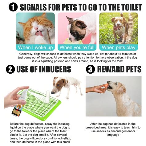 Pet Urination & Defecation Locator Spray, Training Aid For Cats & Dogs