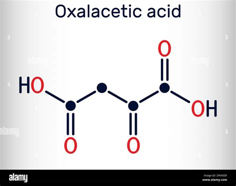 Oxaloacetic Acid Oxalacetic Acid Oaa Oxaloacetate Molecule It Is