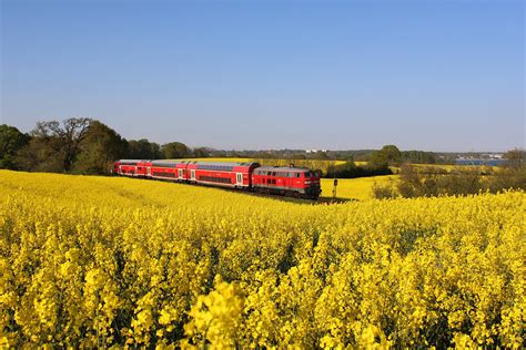 DB 218 435 6 zieht ihre RB85 von Neustadt Holst nach Lübeck Hbf durch