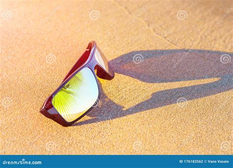 Reflejo De Una Palmera En Gafas De Sol Foto De Archivo Imagen De