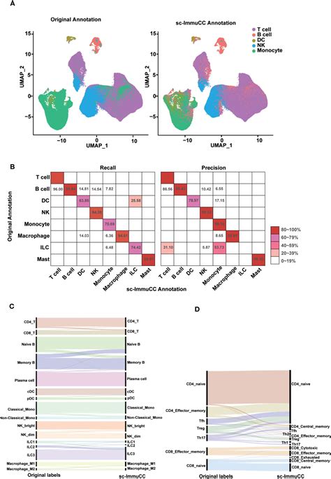 Frontiers Sc Immucc Hierarchical Annotation For Immune Cell Types In