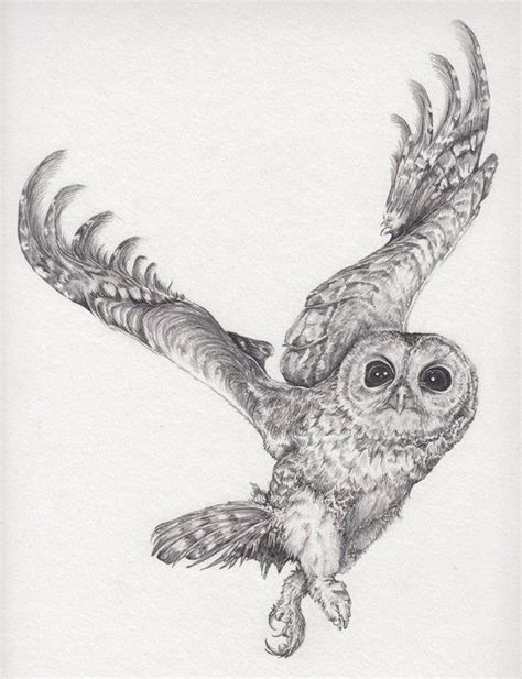 Tawny Owl In Flight Print From An Original Drawing In Owls