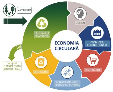 Casiana Fometescu Pentru Noi Adaptarea La Economia Circular Nu Este