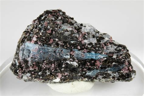 16 Blue Kyanite And Garnet In Biotite Quartz Schist Russia 178924