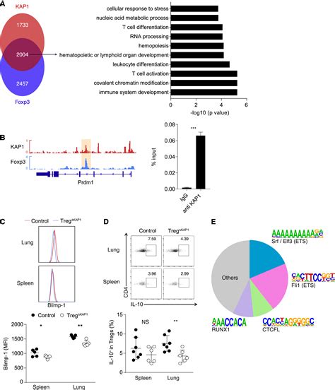 Kap Regulates Regulatory T Cell Function And Proliferation In Both