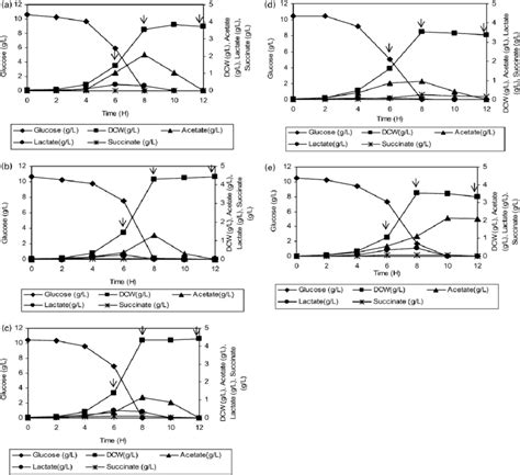 Growth Curves Of E Coli Bw25113 Wildtype A E Coli Jwk 2449