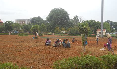 Murasoli Maran Flyover Park gets a makeover