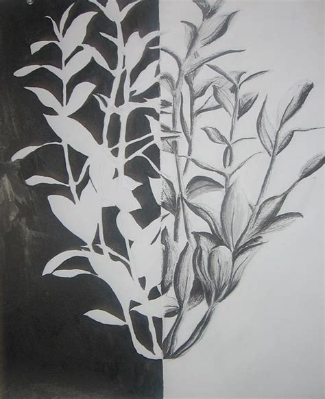 Negative Space Drawing Plants