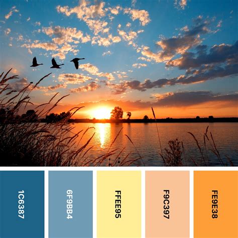 sunset color palettes  captivating designs color meanings