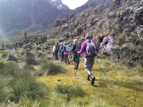 Rwenzori trekking Experience - Ruboni Community Tourism Camp