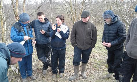 News – Green Angels