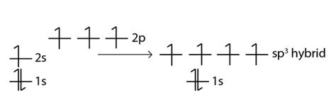 Hybrid Orbitals Chemistry Libretexts