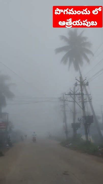 పొగమంచు లో ఆత్రేయపురం Fog In Atreyapuram Youtube