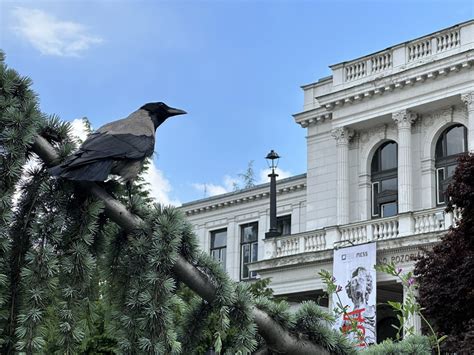 Emir O Filipovic On Twitter Sarajevo