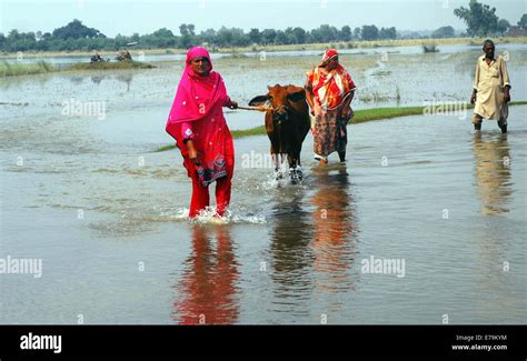 Gujranwala Pakistan 10th Sep 2014 People Passing Through Flood