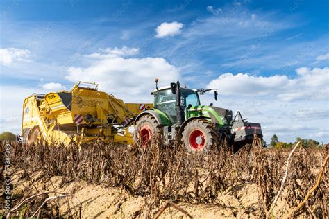 Arrachage De Pomme De Terre En Plaine Ensemble Tracteur Fendt Et