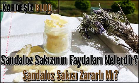 Sandaloz Sakızının Faydaları Nelerdir Sandaloz Sakızı Zararlı Mı