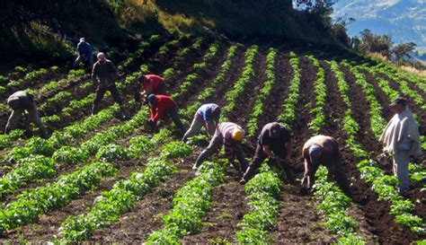 Productores Agr Colas En Riesgo De Mperder La Producci N Productores