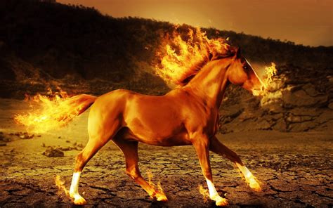 Ice Flame Horses