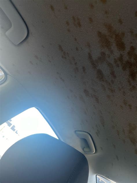Car has brown spots on interior roof : r/Autobody