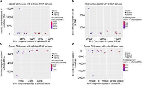 Sparse Canonical Correlation Analysis CCA Reveals That The Global