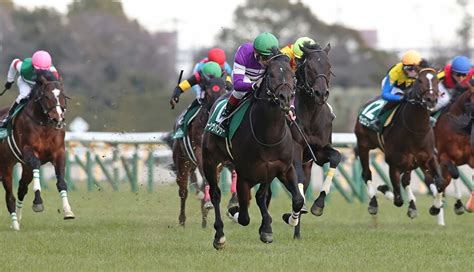 【東京新聞杯2024予想】本命馬候補5選と穴馬候補5選・コース解説・血統馬5選・過去10年データー分と傾向3連単 ｜ 3連単6点勝負！競馬で