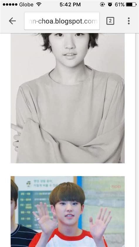 SEVENTEEN HOSHI LOOKALIKE Carat 캐럿 Amino