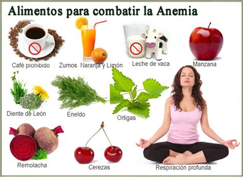 REMEDIOS NATURALES PARA LA ANEMIA CRÓNICA Barcelona Alternativa