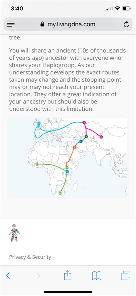 Living DNA Kit review - The Gadgeteer