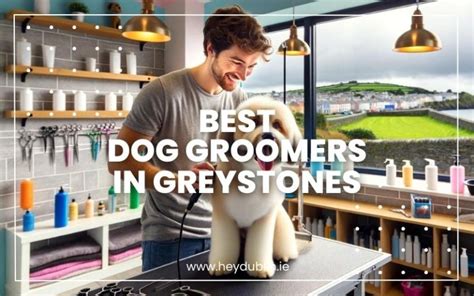 → Best Dog Groomers In Greystones Elite Picks For A Perfect Groom