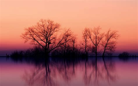 Wallpaper Trees Landscape Sunset Lake Nature Reflection Branch