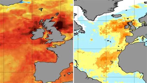 ‘extreme Marine Heatwave Brings Sudden Increase Of Around 4c To Seas