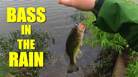 Wading A NJ Park Pond For Largemouth Bass YouTube