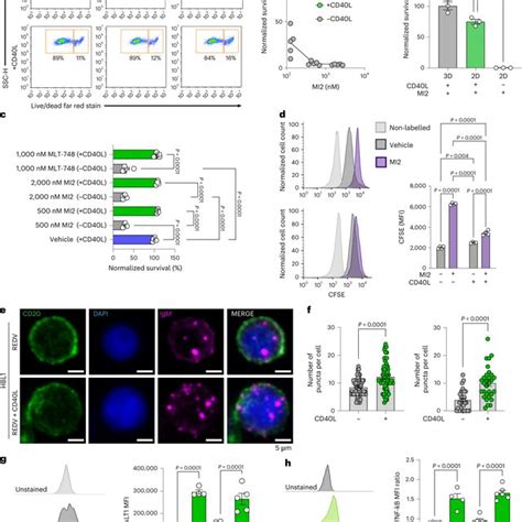 Cd T Cell Abundance In Abc Dlbcls And Development Of Bioengineered