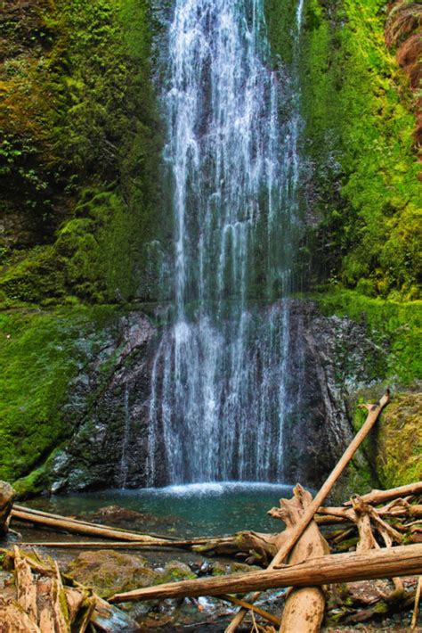 5 Olympic Peninsula Waterfall Hikes — With These Rings