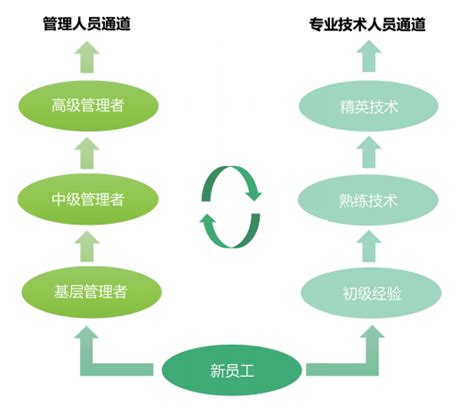 建设学习型组织的“五化”路径