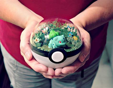 People Are Selling Pokeball Terrariums And Theyre Straight Up Adorable