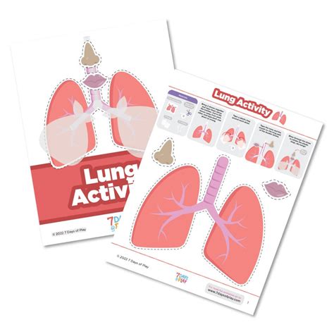 Activity For Respiratory System Free Printable Lung Lesson 7 Days Of