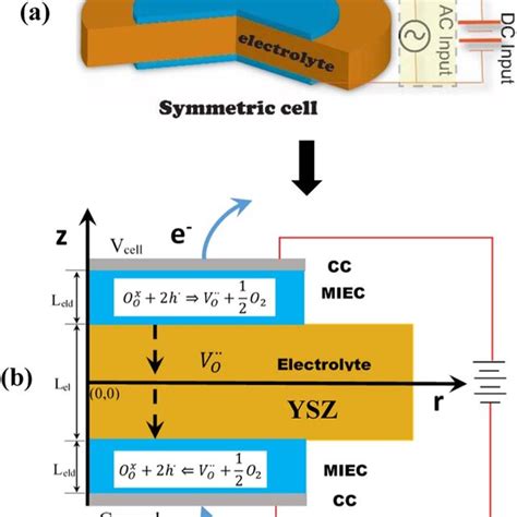 cell setup  dc  ac simulation  schematic illustration