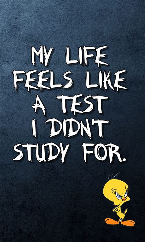 My Study, avoid, forget, plan, stress, student, HD mobile wallpaper ...